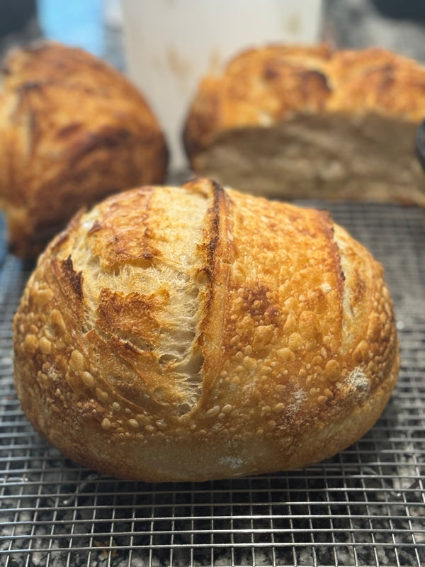 Organic Sourdough Loaf