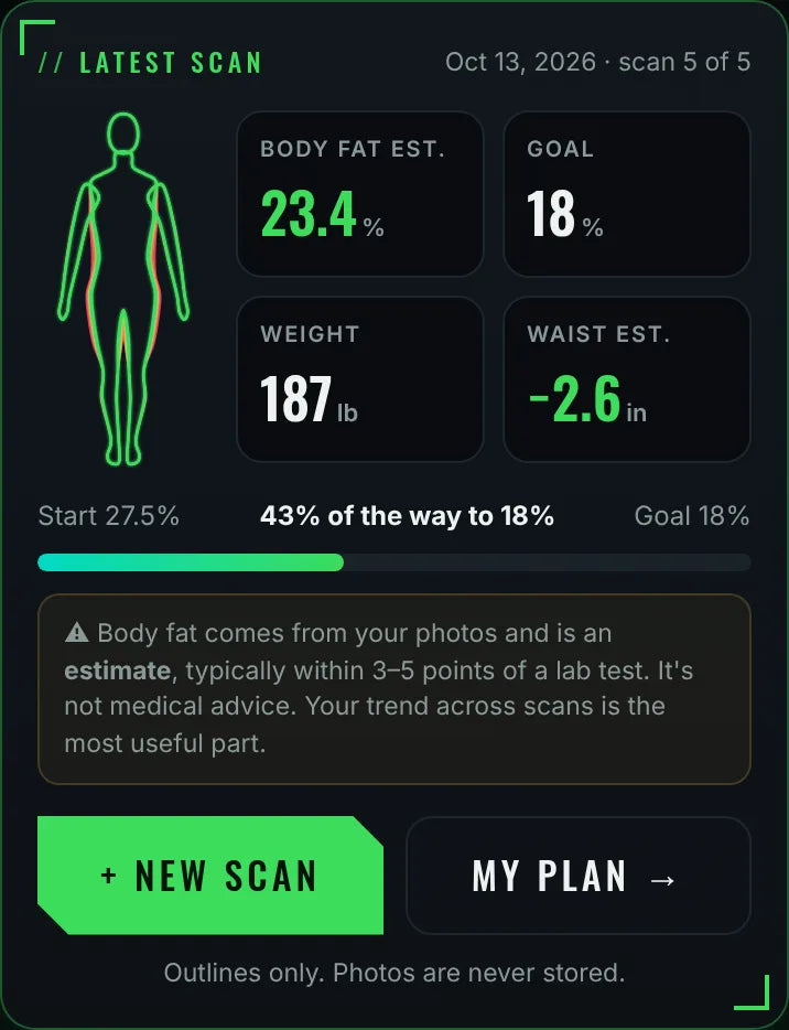 Body Scan card in the FitScan Body Scan tab (example data)
